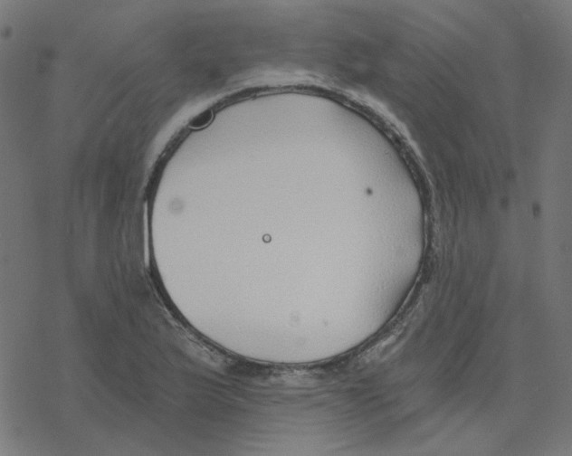 X0000078261175200612011647