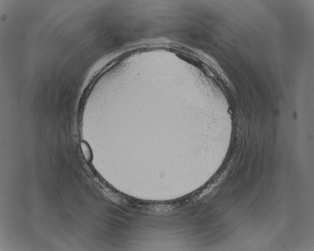 X0000078261176200612011647