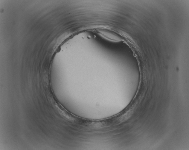 X0000078261177200612011647