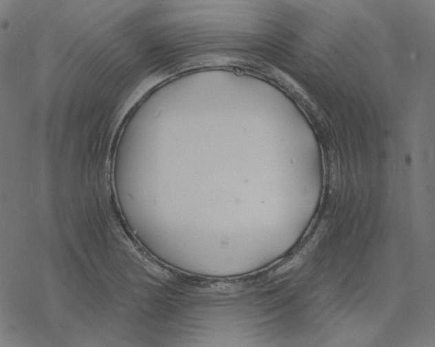 X0000078261178200612011647