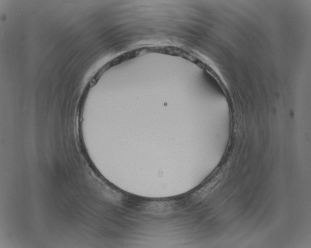 X0000078261179200612011647