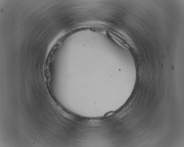 X0000078261180200612011647