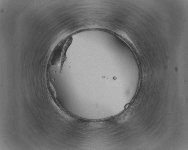 X0000078261181200612011647