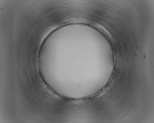 X0000078261182200612011647