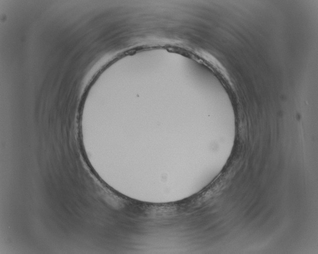 X0000078261183200612011647