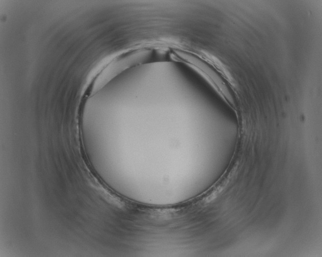 X0000078261184200612011647