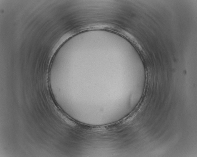 X0000078261186200612011647