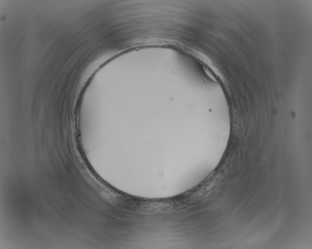 X0000078261187200612011647