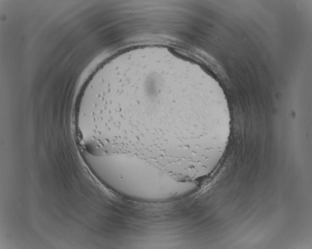 X0000078261188200612011647