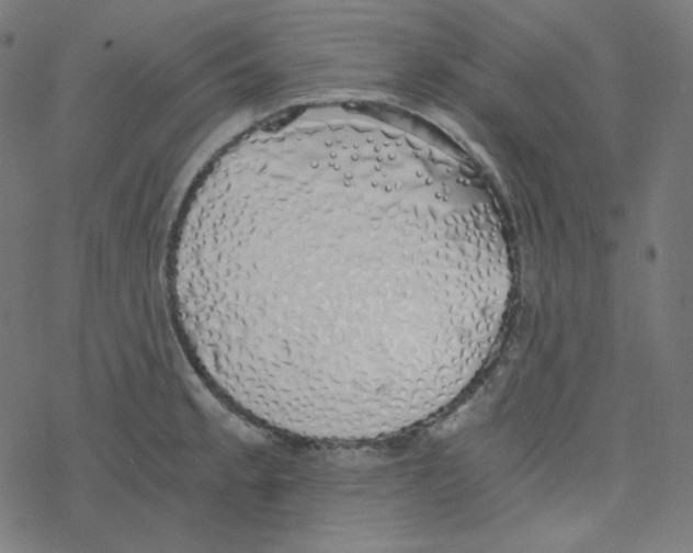 X0000078261189200612011647