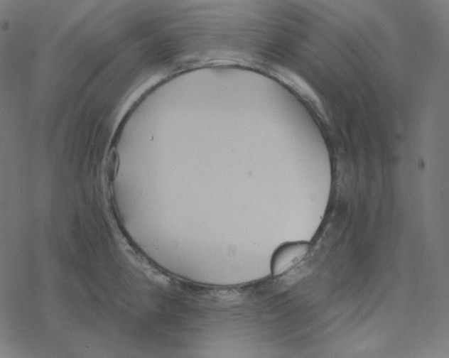 X0000078261190200612011647