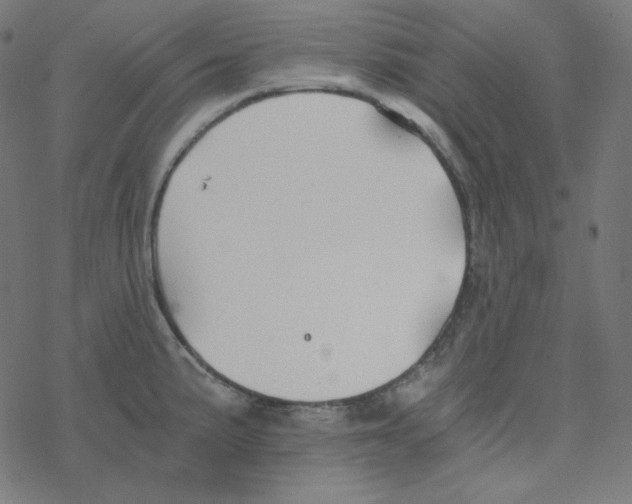 X0000078261191200612011647