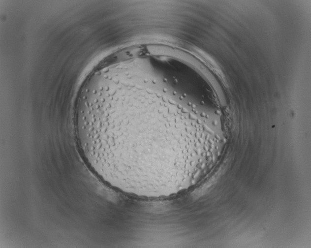 X0000078261192200612011647