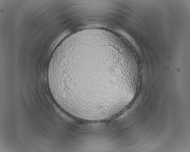 X0000078261193200612011647