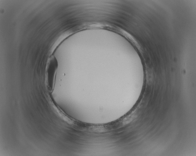 X0000078261194200612011647