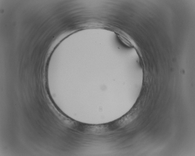 X0000078261195200612011647