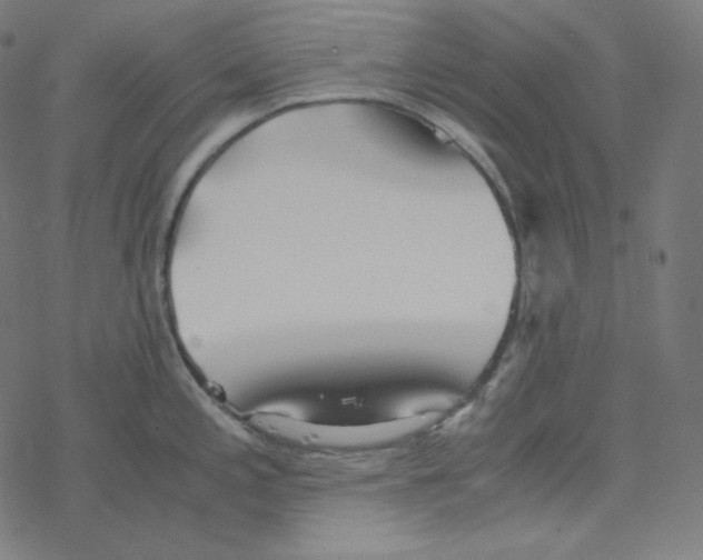 X0000078261197200612011647