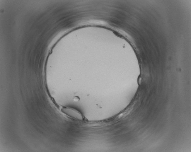 X0000078261199200612011646