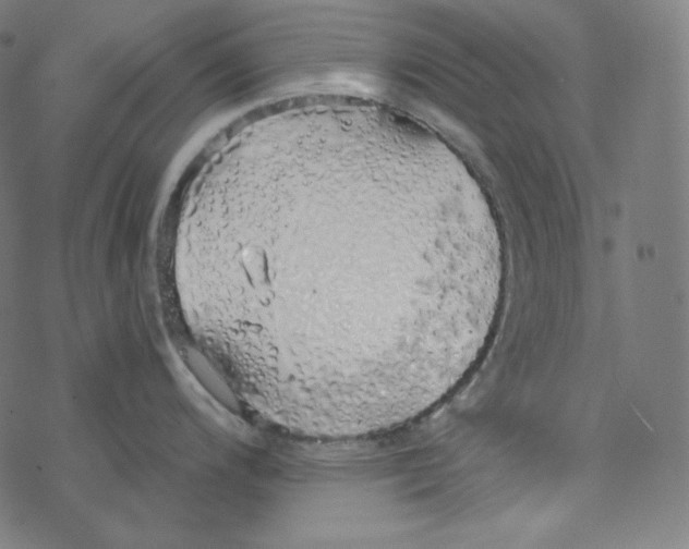 X0000078261200200612011646