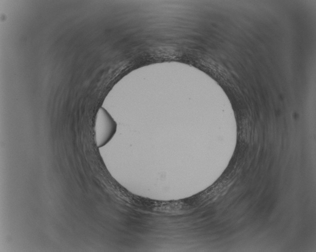 X0000078261201200612011646