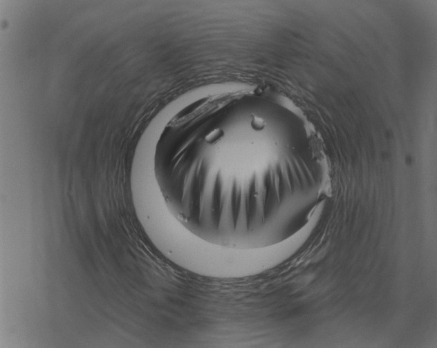 X0000078261202200612011646