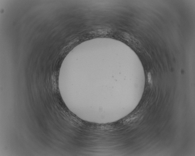 X0000078261203200612011646