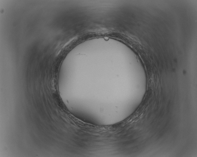 X0000078261205200612011646