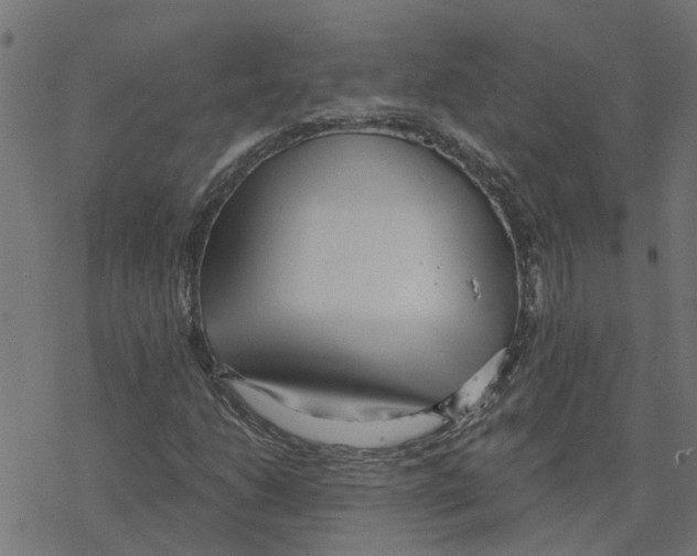 X0000078261206200612011646