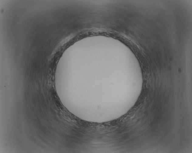 X0000078261207200612011646