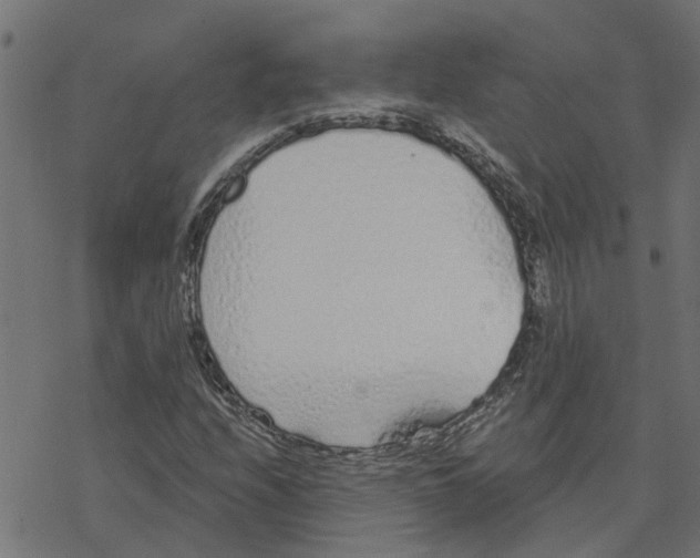 X0000078261208200612011646