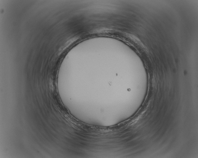 X0000078261209200612011646