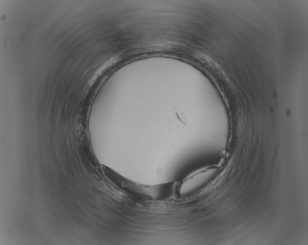 X0000078261210200612011646