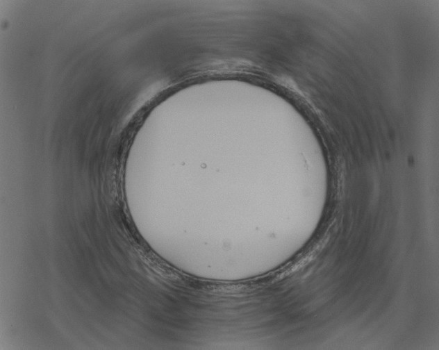 X0000078261211200612011646