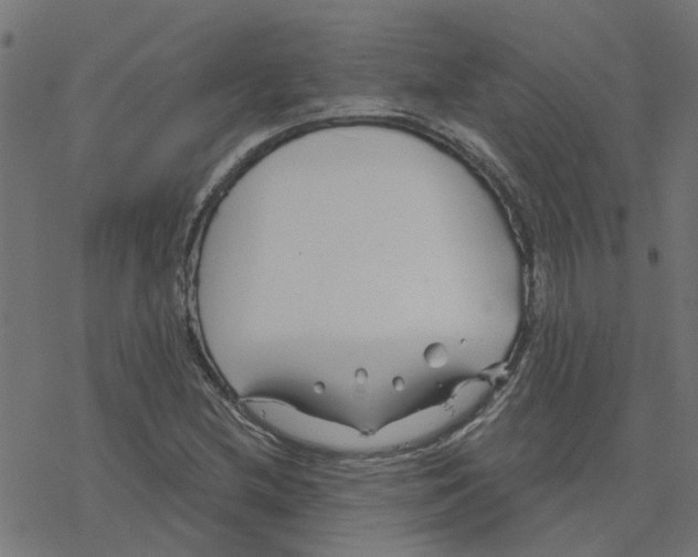 X0000078261212200612011646