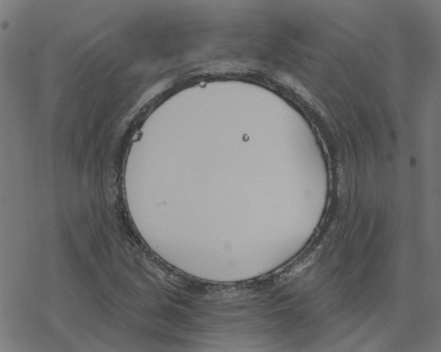 X0000078261213200612011646