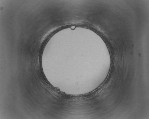 X0000078261214200612011646