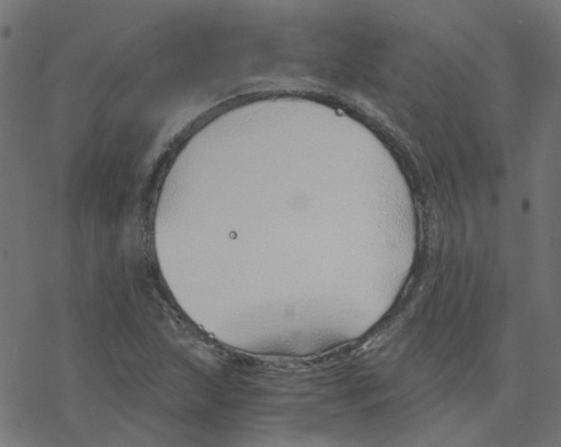 X0000078261215200612011646