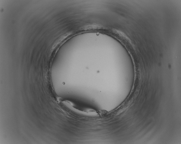 X0000078261217200612011646