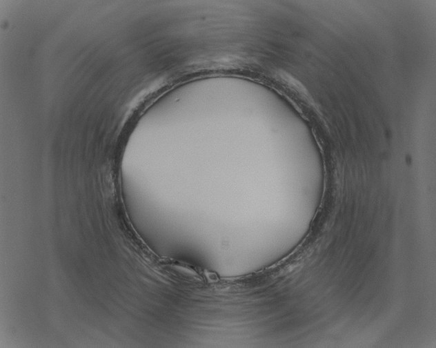 X0000078261218200612011646