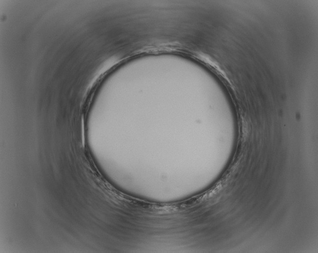 X0000078261219200612011646