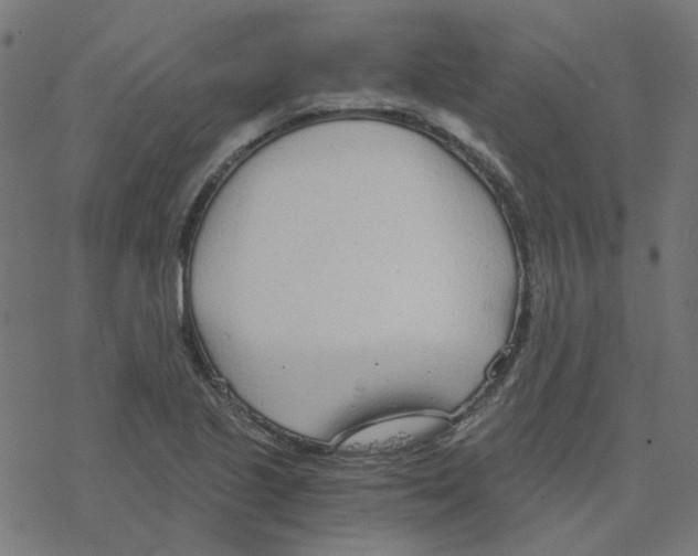 X0000078261221200612011646