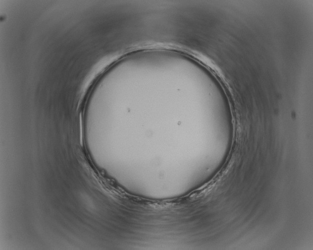 X0000078261223200612011646