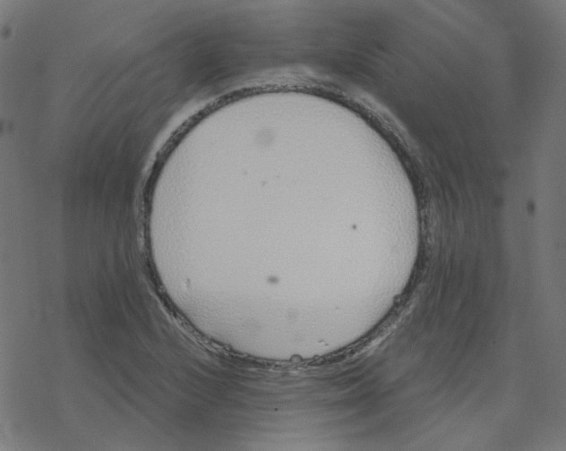 X0000078261224200612011646