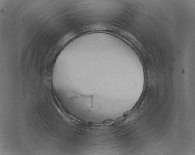 X0000078261225200612011646