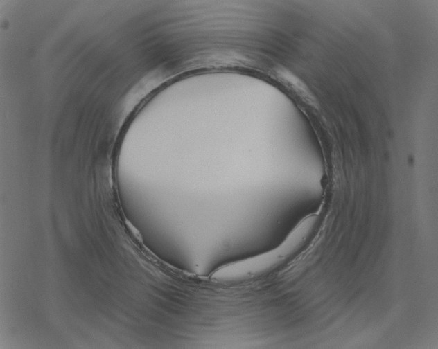 X0000078261226200612011646