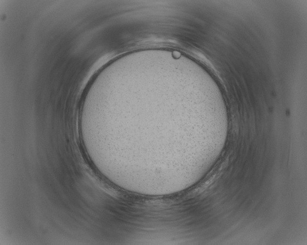 X0000078261227200612011646