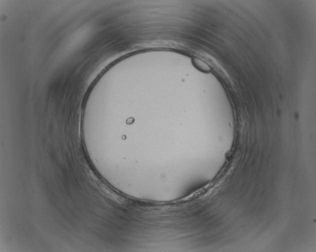 X0000078261228200612011646