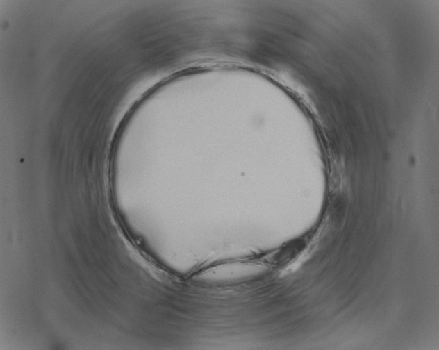 X0000078261231200612011646