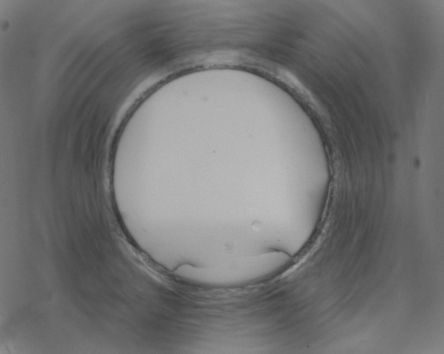 X0000078261232200612011646