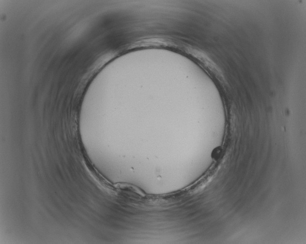 X0000078261233200612011646